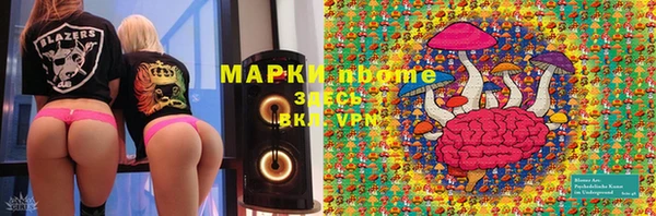 прущая мука Арсеньев