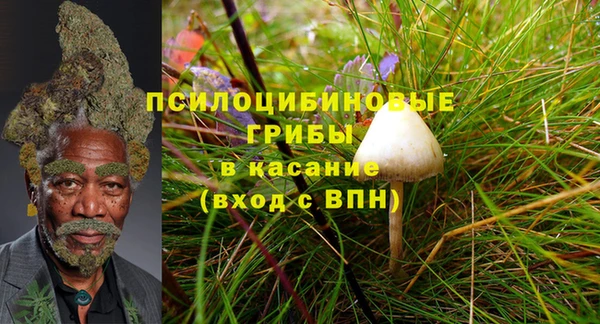 мет Армянск