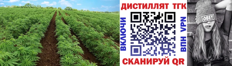 ТГК вейп с тгк  Сасово 