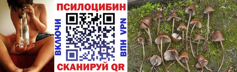 MEGA вход  Сасово  Псилоцибиновые грибы GOLDEN TEACHER 